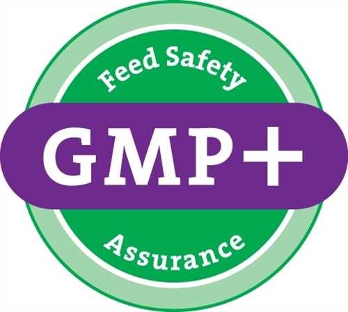 gmp.jpg