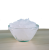 Singulares Bio-kokosol.png