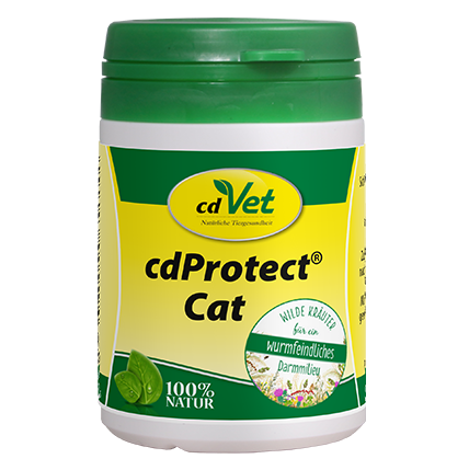 cdProtect Cat.png