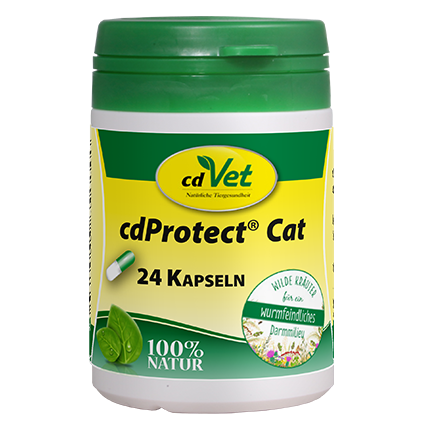 cdProtect Cat 24 kaps.png