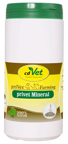 24f3f0e28bb5a415149fb57e430efa2158b3bd2d