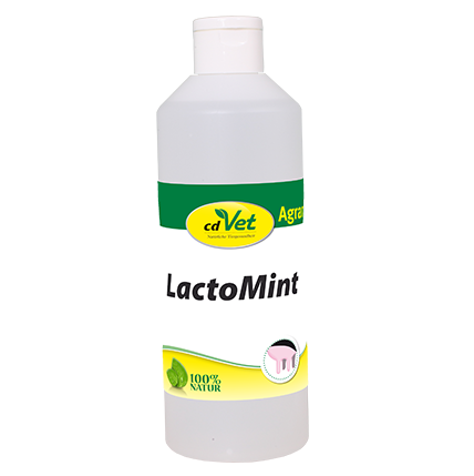 cdVet LactoMint 500g.png