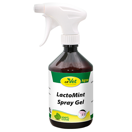 cdVet LactoMint Spray Gel 500ml.png