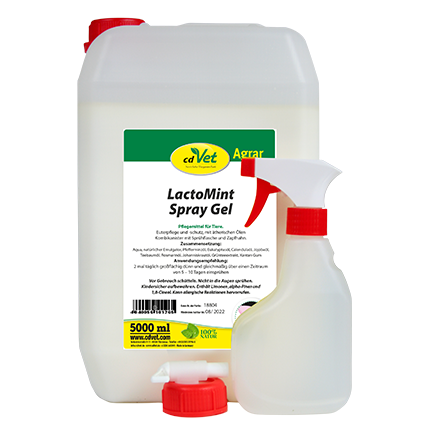 cdVet LactoMint Spray Gel 5l.png