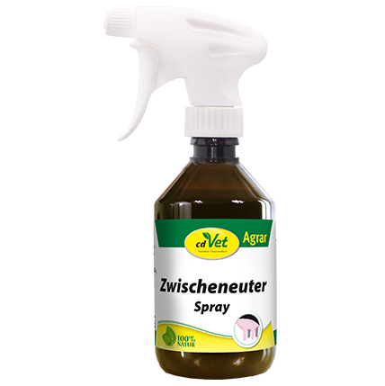 cdVet Zwischeneuter Spray 250ml.png
