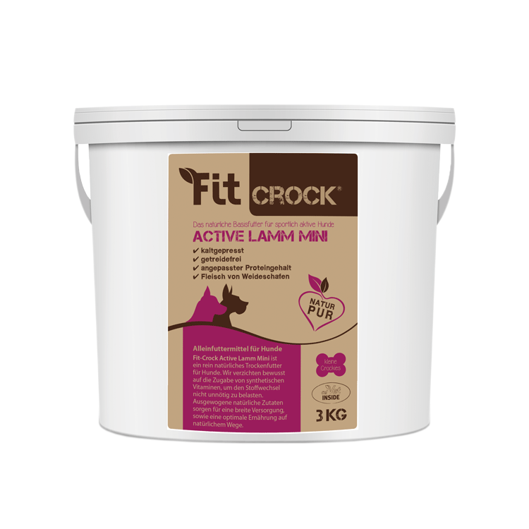 Fit-Crock Active Mini 3kg.png