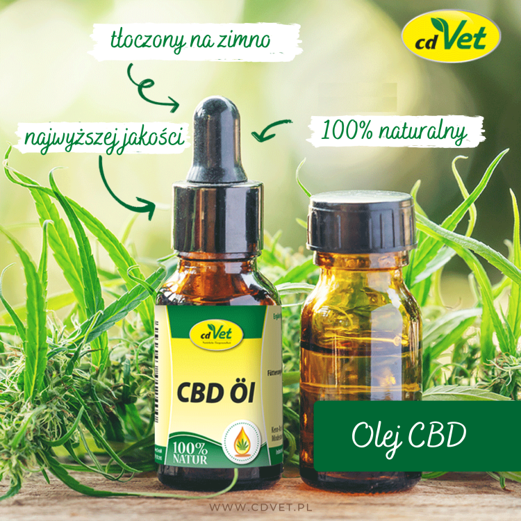 cbd olej.png