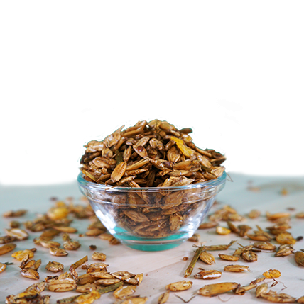 EquiGreen Natural Power z owsem.png