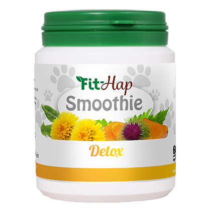 fit-hap Smoothie Detox 60g.png