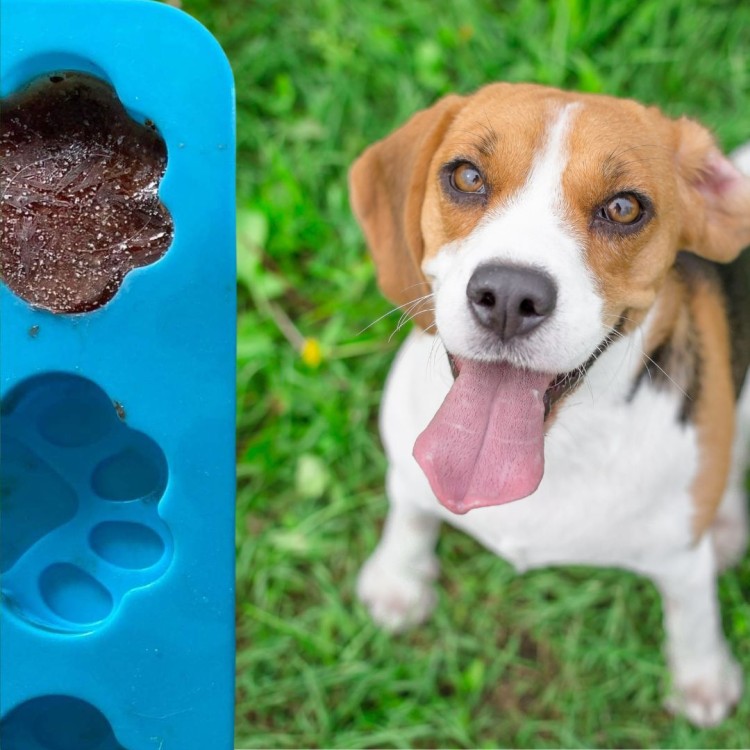 silikonowa foremka łapki do lodu, czekoladek wypieków 1.jpg