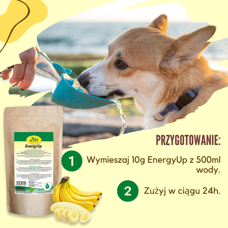 przygotowanie energyup.png
