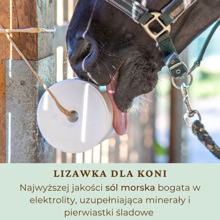 Lizawka dla koni z solą morską (2).jpg
