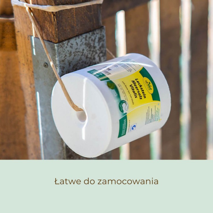 Lizawka dla koni z solą morską.jpg