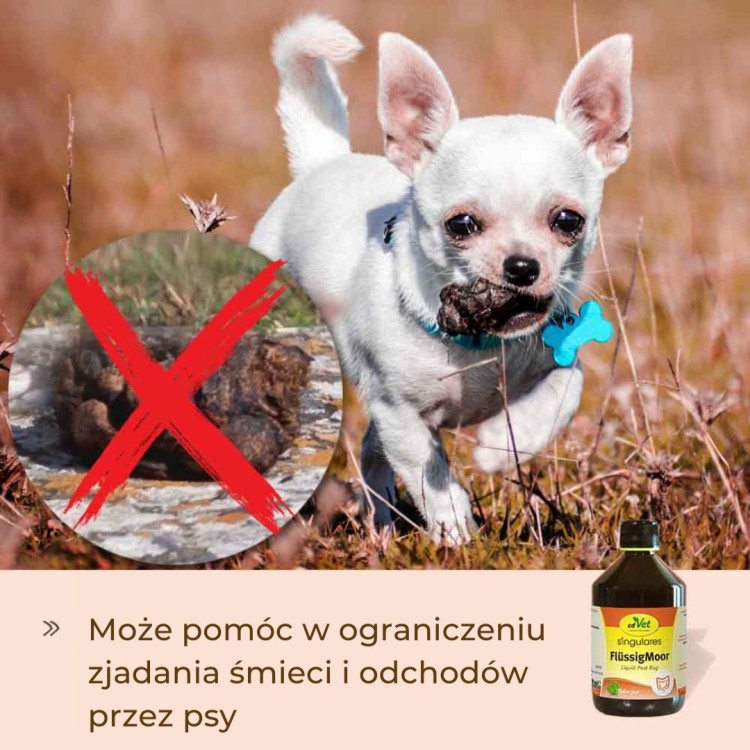 Singulares Torf w płynie .jpg