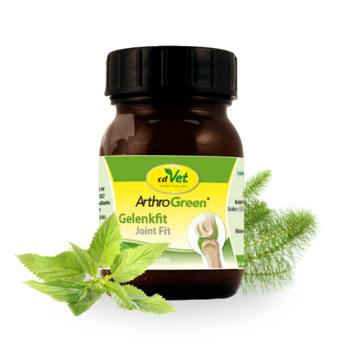 ArthroGreen Gelenkfit Joint Fit (1).png