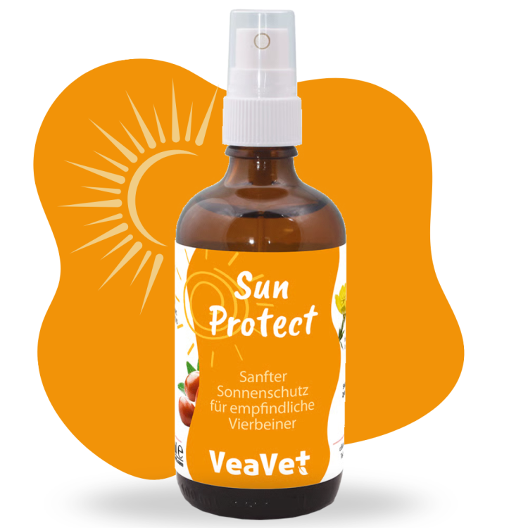 veavet Sun Protect 100ml .png