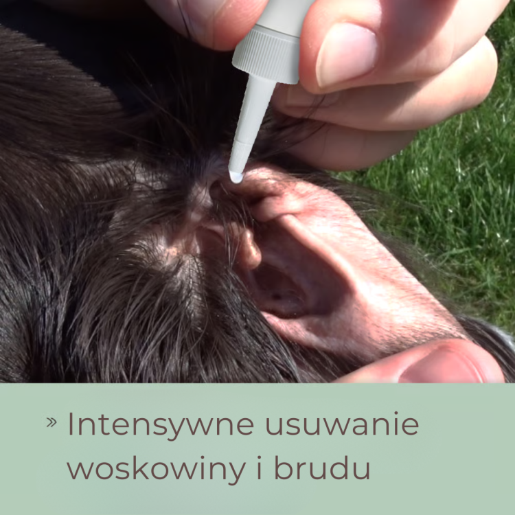 cdVet veavet lebermoos ohrspulung .png