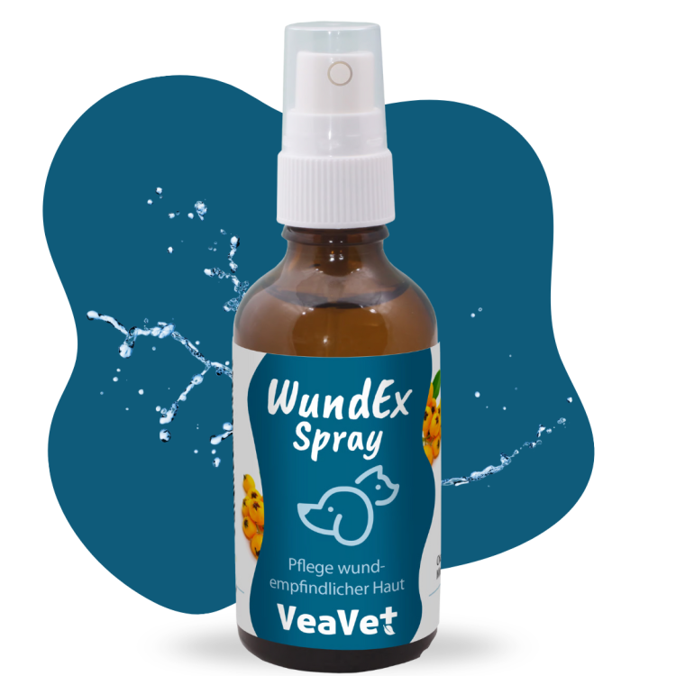 Naturalny spray na rany psa, kota i konia — cdVet VeaVet WundEx Spray