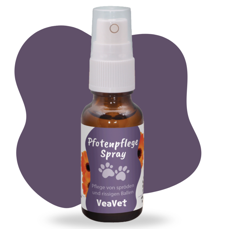 cdVet VeaVet spray do pielęgnacji łap psa i kota 20 ml