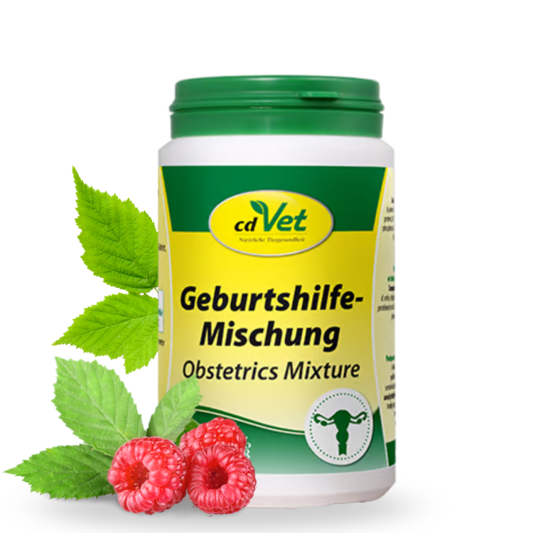 geburtshhilfemichung.png
