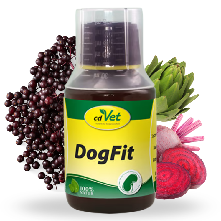cdvet dogfit.png