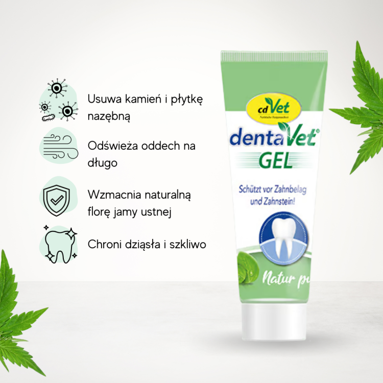 dentavet gel.png