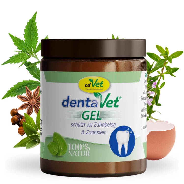 dentaVet GEL 35g (1).png