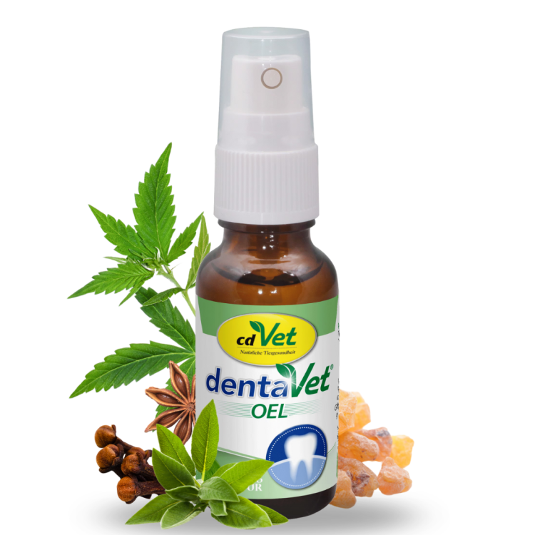 dentavet oel.png