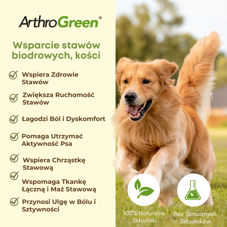 ArthroGreen Classic Działanie.png
