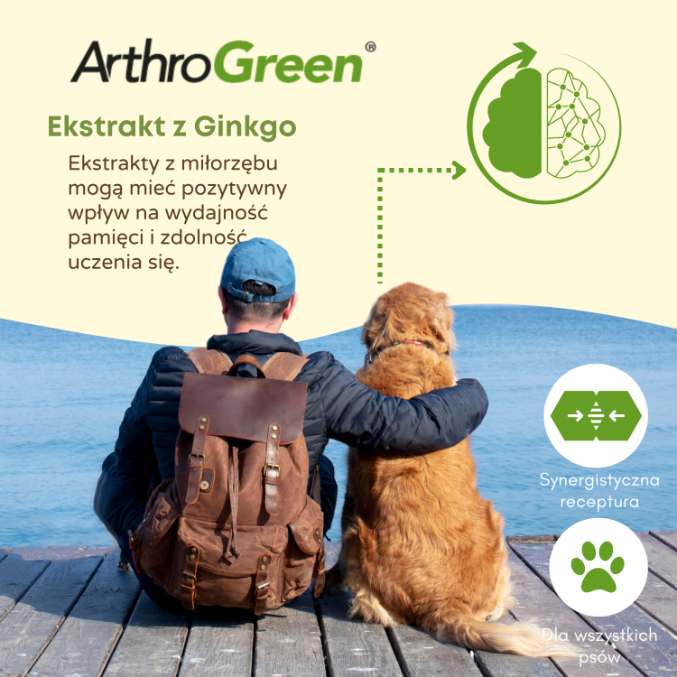 ArthroGreen Extrakt z Ginkgo.png