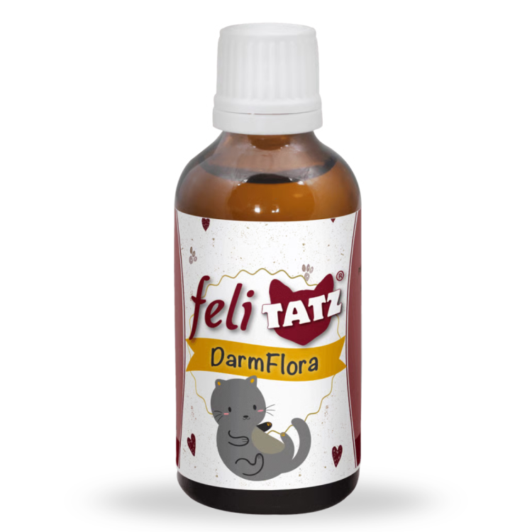 feliTatz DarmFlora.png