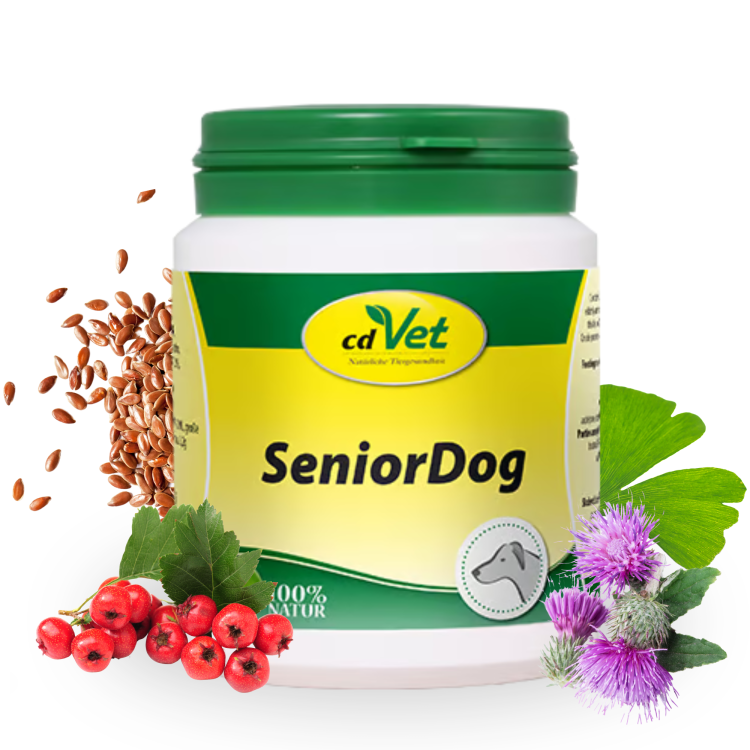 SeniorDog 70g  (1).png