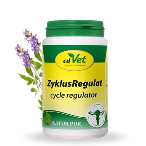 cdVet ZyklusRegulat – suplement dla suk na regulację cyklu i urojona ciążę