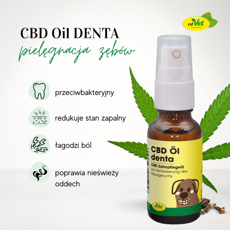 cdvet cbd oil denta.png