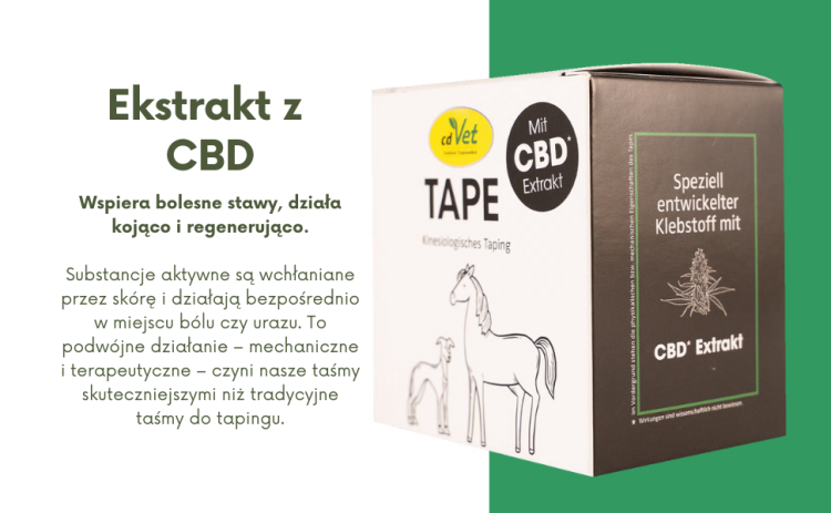 Taśma Tapingowa z Ekstraktem z Arniki cdVet 5cm x 5m (4).png