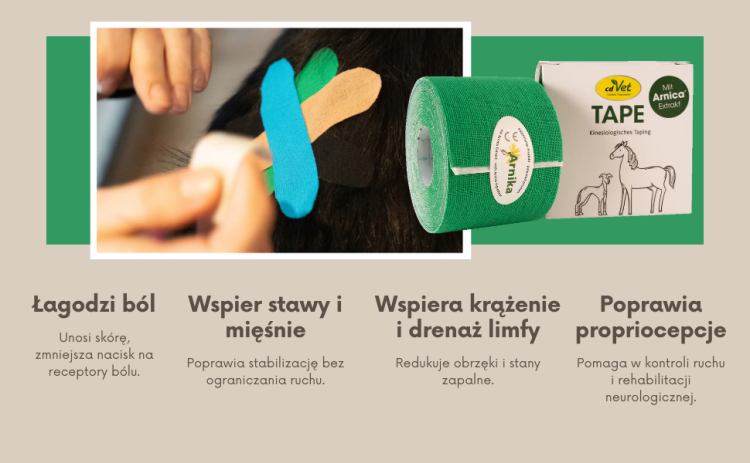 Taśma Tapingowa z Ekstraktem z Arniki cdVet 5cm x 5m (3).png