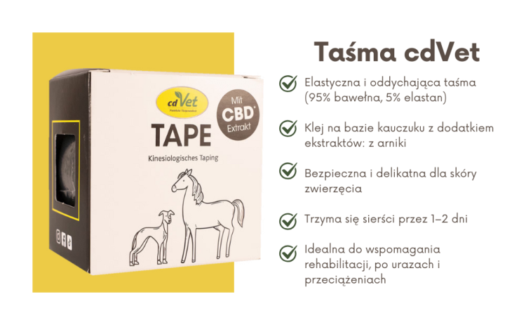 Taśma Tapingowa z Ekstraktem z CBD cdVet 5cm x 5m.png