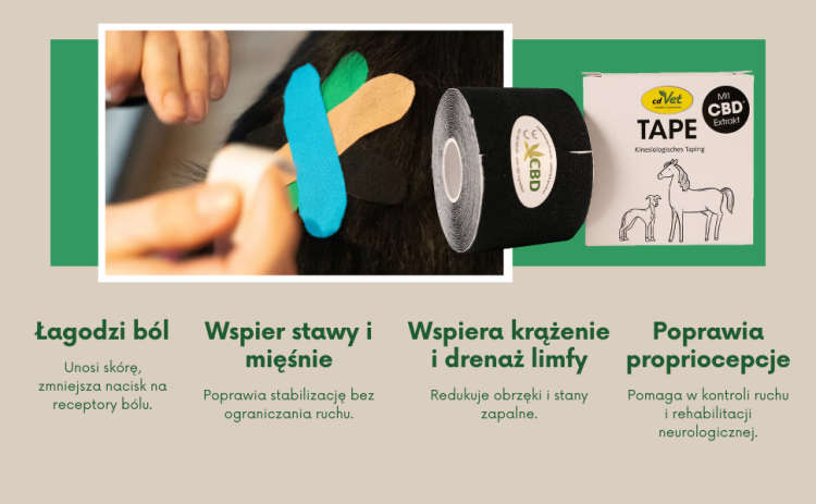 Taśma Tapingowa z Ekstraktem z CBD cdVet 5cm x 5m (1).png