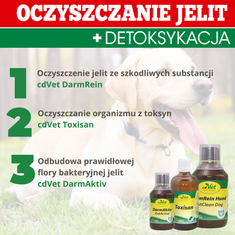 Oczyszczanie jelit i detoksykacja 2.png