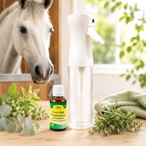 insektoVet FliegenSpray Konzentrat 50 ml + Atomizer 300 ml dla Koni  Naturalna Ochrona Przed Muchami i Owadami.png