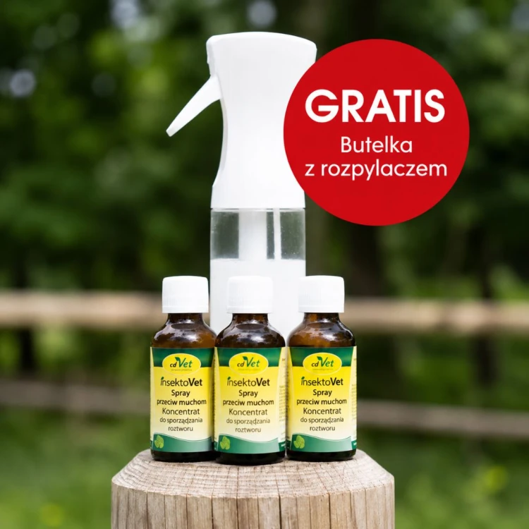 zestaw 3 x insektovet fliegenspray konzentrat + atimizer 300 ml gratis  (1).jpg