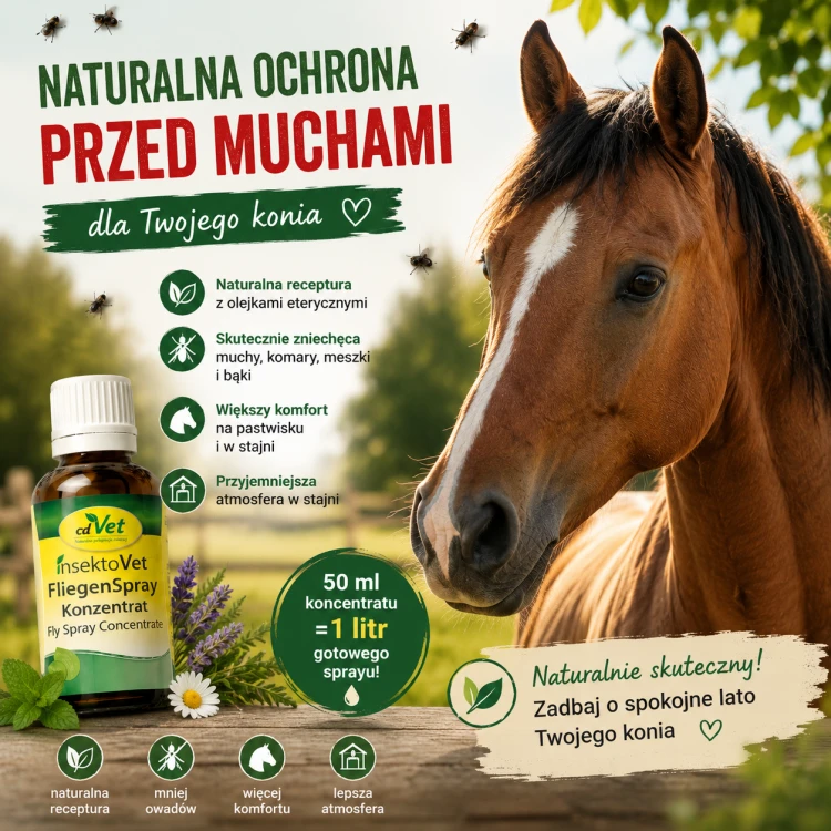 naturalny spray przeciwko muchom dla koni - cdvet insektovet fliegen konzentrat.png