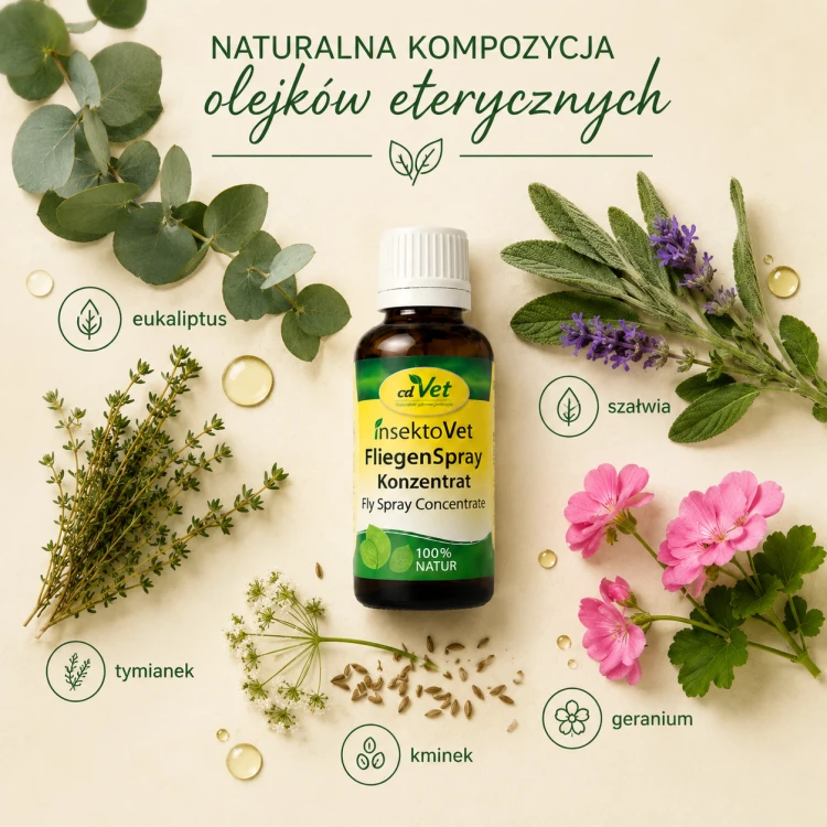 insektovet fliegenspray konzentrat skład.png