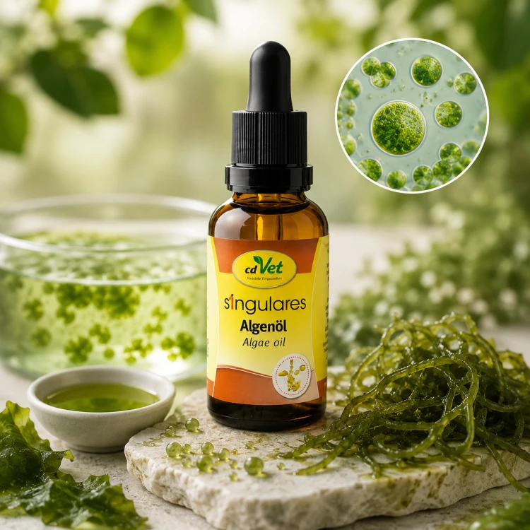 cdVet Olej z Alg 50 ml Singulares Algenol.png