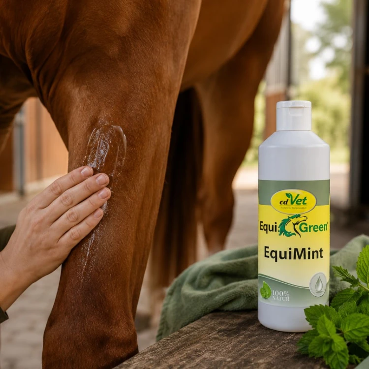 EquiGreen EquiMint 500ml EquiGreen EquiMint Naturalny Żel dla koni na mięśnie i stawy po treningu regeneracja (2).jpg