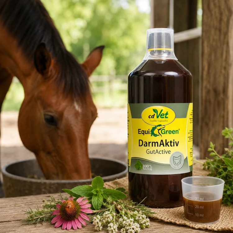 cdVet EquiGreen DarmAktiv 1l naturalny probiotyk dla koni.png