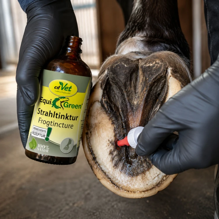 cdVet EquiGreen Strahltinktur  – naturalna tinktura na gnijącą strzałkę i pielęgnację kopyt konia - zastosowanie.jpg