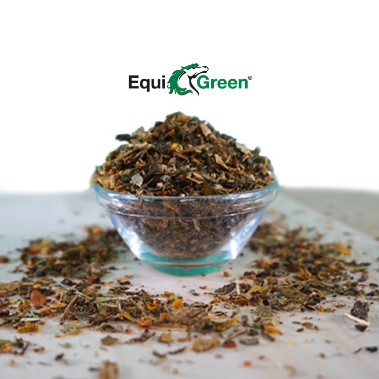 cdVet EquiGreen HerzAgil – naturalna mieszanka ziół wspierająca serce i układ krążenia konia (1).jpg