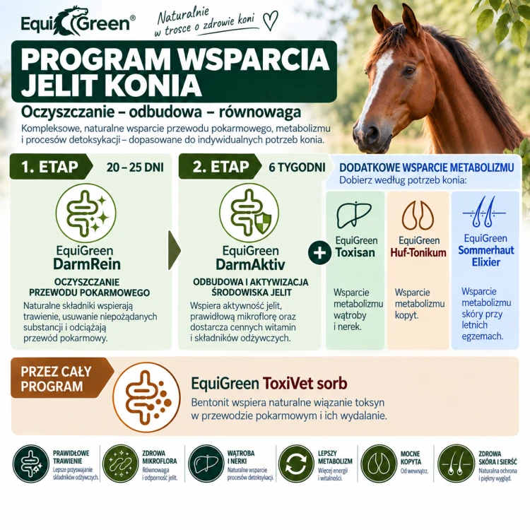 cdVet EquiGreen program wsparcia jelit konia.png