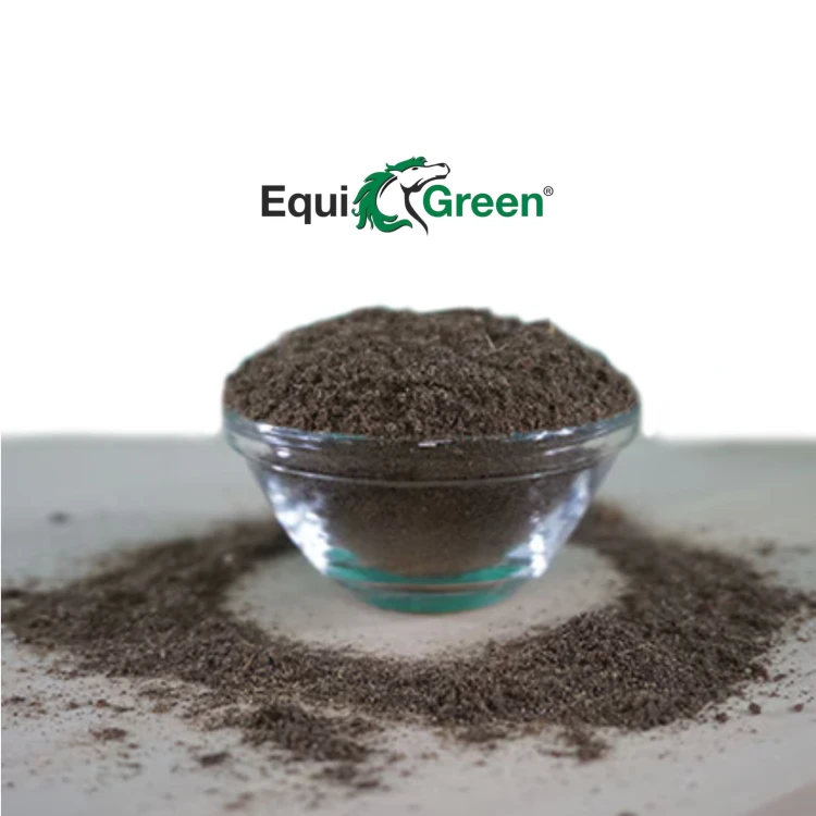EquiGreen Magenschutz – Ochrona i regeneracja żołądka oraz jelit konia  cdVet.jpg
